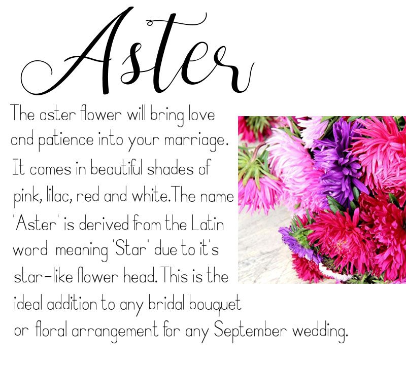 September Wedding Anniversary Engagement Aster Flower Bouquet Floral