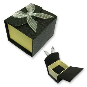 Small Black Box Silver Organza