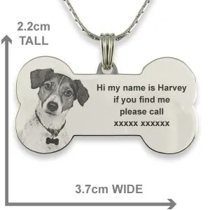Engraved Dog Collar - Large Dog Tag - Image 3