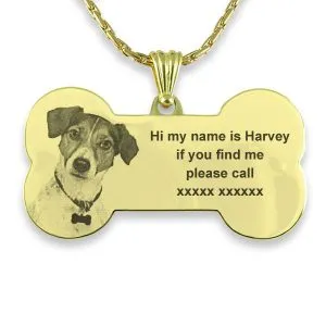 Personalised Dog Collar - Large Gold Plate Dog Tag