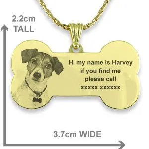 Personalised Dog Collar - Large Gold Plate Dog Tag - Image 3